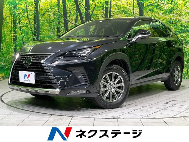 NX 200t Iパッケージ 