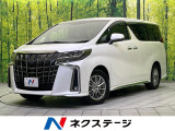 レーダークルーズ 禁煙車 電動リアゲート ハーフレザーシート ドラレコ