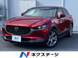 全周囲カメラ 衝突被害軽減システム レーダークルーズ 禁煙車 電動リアゲ