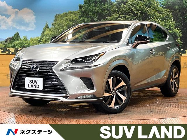 NX 300h スパイス&シック