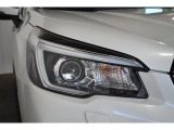 LEDヘッドランプは白色または青白い光を放ちます。夜間でも遠くまで見通しが良くなり、道路標識や歩行者をより早く認識できます。