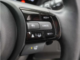 ◆アダプティブクルーズコントロール◆予め設定した車速内でクルマが自動的に加減速。前走車との適切な車間距離を維持しながら追従走行します。【LKAS】車線維持支援システムでステアリング操作を支援。