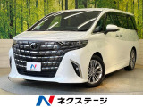 ガラスルーフ 両側電動ドア 後席モニター 全周囲カメラ 100V電源