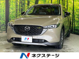 4WD ターボ 10.25インチナビ 全周囲カメラ レーダークルーズ