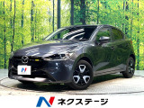 衝突被害軽減システム レーダークルーズ ドラレコ コーナーセンサー