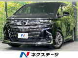 ガラスルーフ モデリスタエアロ 両側電動スライドドア 後席モニター