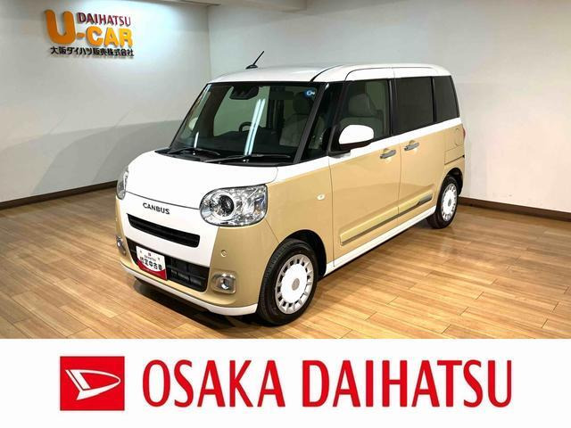 ムーヴキャンバス  ストライプス G