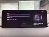 i-DM(インテリジェント・ドライブ・マスター)は運転操作の無駄を抑えたスムーズな運転をサポートし、快適なドライブや燃料消費を抑える事にも役立つアイテムです。