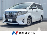 4WD 両側電動ドア バックカメラ 寒冷地仕様 電動リアゲート パワーシ