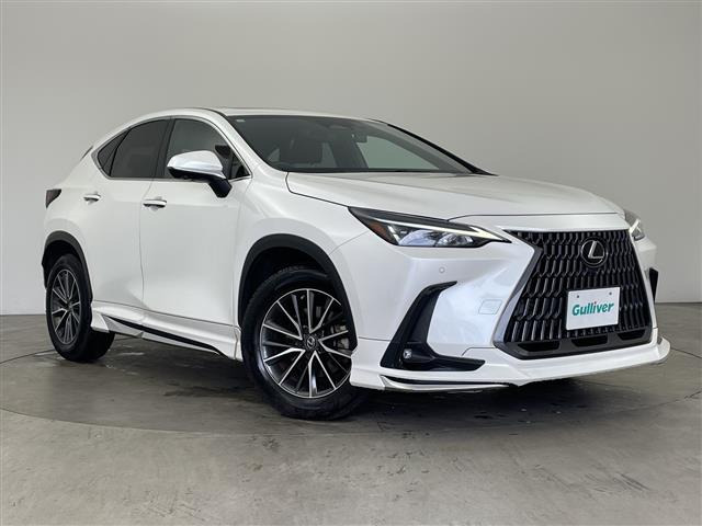 NX 250 本革シート サンルーフ