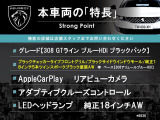 308 GTライン ブルーHDi ブラックパック