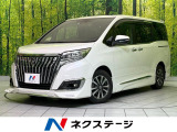 フルエアロ BIGX11型ナビ 後席モニター 両側電動ドア バックカメラ