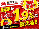 シビックタイプR 2.0 レーシング ブラックパッケージ 