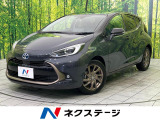 衝突被害軽減システム レーダークルーズ 禁煙車 ハーフレザーシート