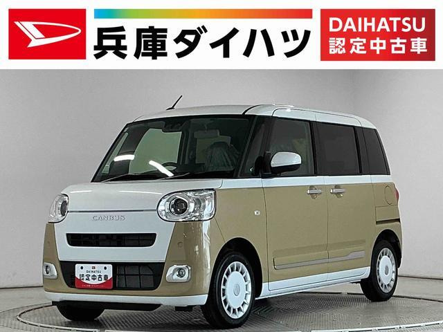ムーヴキャンバス  ストライプス G