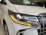 3眼LEDヘッドライト・シーケンシャルウインカー(流れるウインカー)付き!!