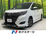 モデリスタフルエアロ 両側電動ドア BIG-X11型ナビ