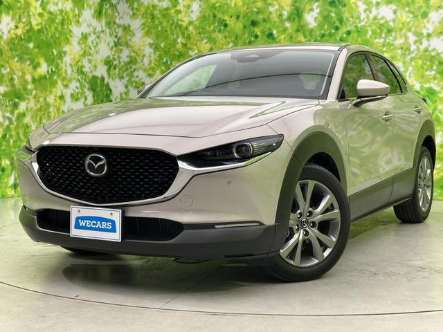 CX-30 2.0 20S プロアクティブ ツーリングセレクション