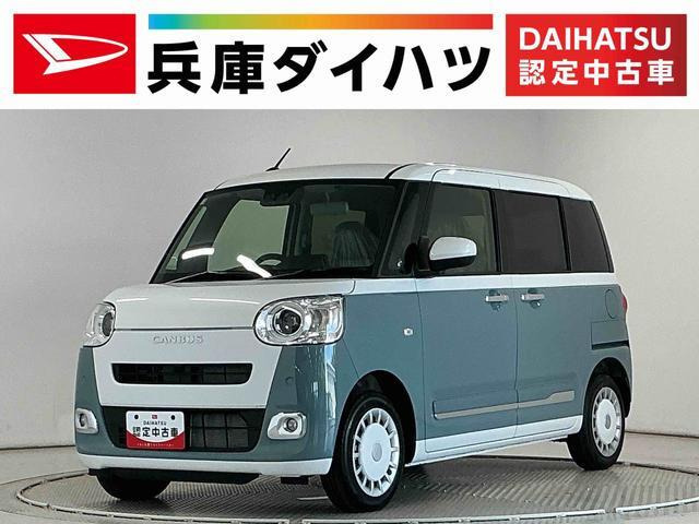 ムーヴキャンバス  ストライプス G