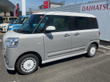 ムーヴキャンバス  ストライプス G