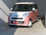 ムーヴキャンバス  ストライプス G