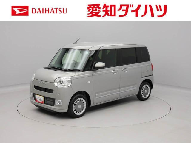 ムーヴキャンバス  セオリー G