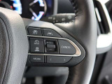 ステアリングスイッチ付き。前方から目を離すことなく操作することが可能です。