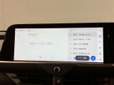 ディスプレイオーディオとなります。地図表示についてはスタッフまでお尋ねください。