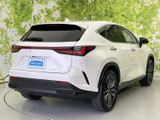 NX 250 バージョンL 