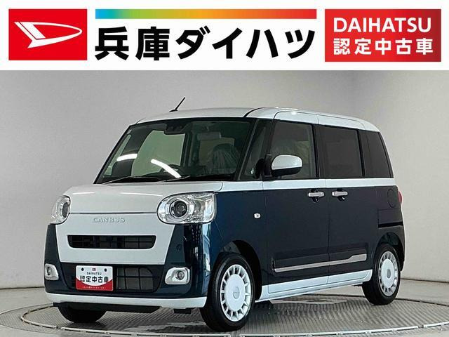 ムーヴキャンバス  ストライプス G
