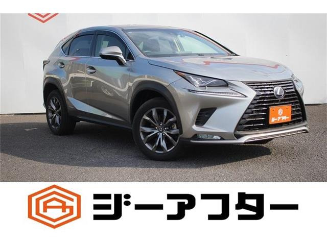 NX 300h バージョンL