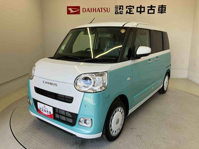 ムーヴキャンバス  ストライプス G
