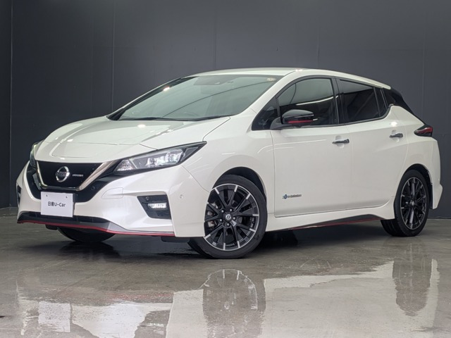 リーフ  NISMO