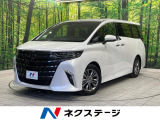 両側電動スライド 純正14型ナビ 全周囲カメラ 100V電源