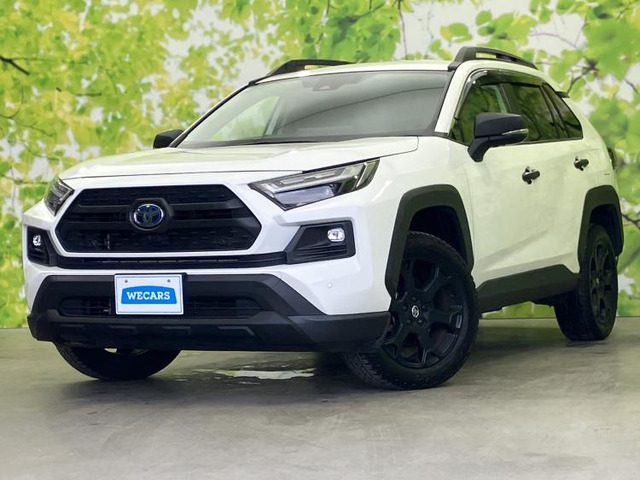 RAV4 2.5 ハイブリッド アドベンチャー オフロードパッケージ II E-Four 4WD