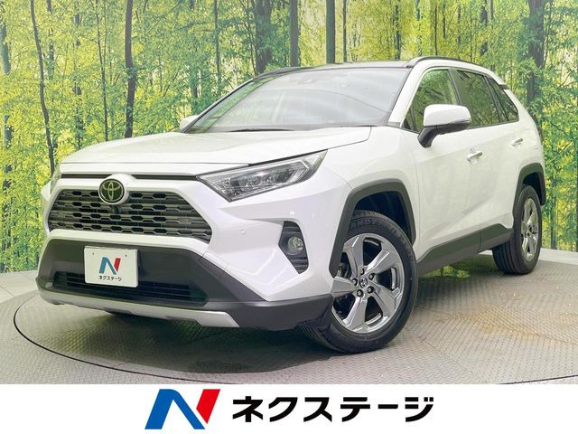 RAV4 2.0 G 4WD