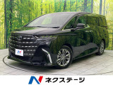 両側電動ドア 後席モニター 全周囲カメラ 100V電源 レーダークルーズ