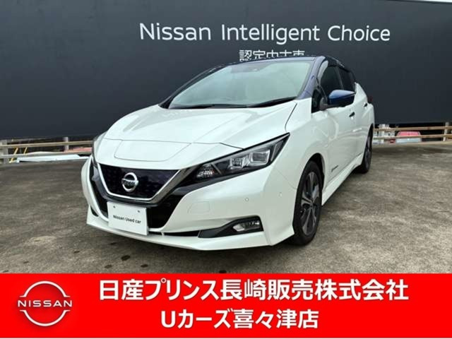 リーフ G 