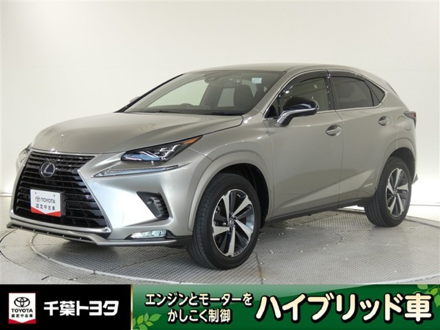 NX 300h スパイス&シック