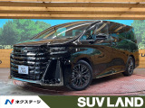 純正14型ナビ 後席モニター 全周囲カメラ 両側電動ドア