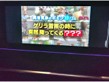 ・TVも装備されております