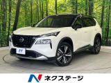 全周囲カメラ 100V電源 エマージェンシーブレーキ プロパイロット