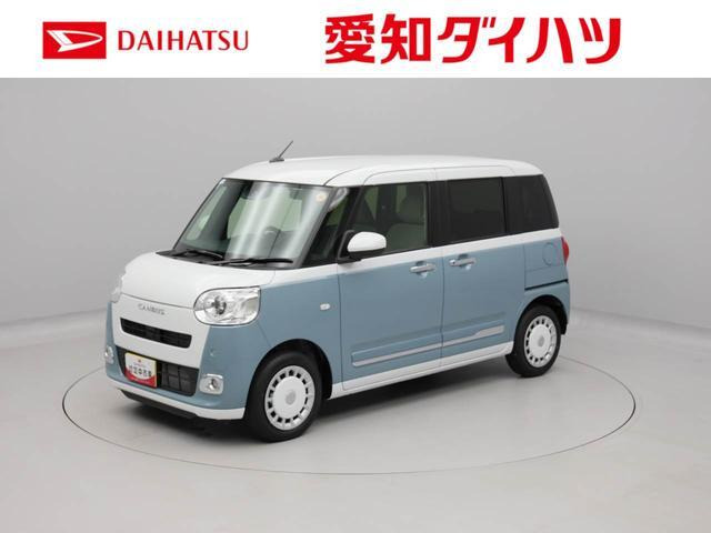 ムーヴキャンバス  ストライプス G
