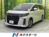 両側電動ドア 後席モニター バックカメラ 衝突被害軽減システム ETC