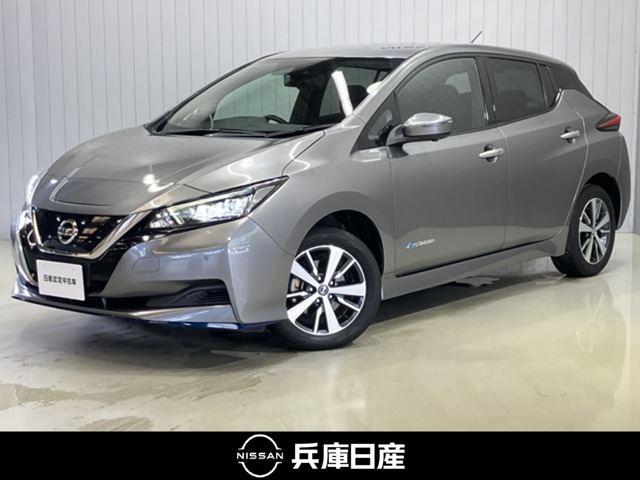 リーフ e+ X 