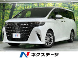 4DW ガラスルーフ トヨタチームメイト 両側電動スライドドア