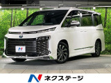 モデリスタ 両側電動ドア 純正10型ナビ 後席モニター バックカメラ