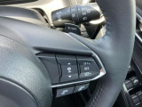 全車速追従機能付(MRCC)アクセルを離しても前方の車に合わせて走行ができます。