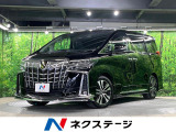 サンルーフ フルエアロ 両側電動ドア バックカメラ 100V電源 衝突被