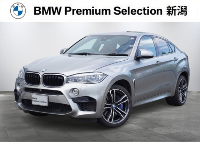BMW X6 M 